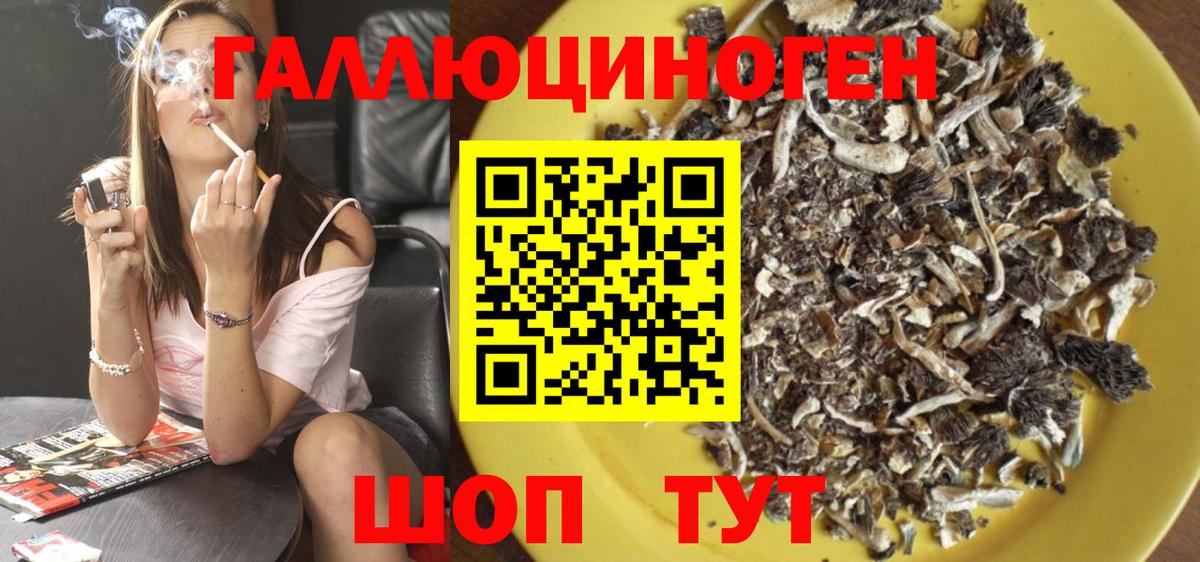 Псилоцибиновые грибы мицелий Белгород